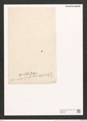 Nitzschia apiculata (Greg.) Grun. (de-Toni-Nr.: Genus 47, Species 2019) Zeichnungen Sammlung Grunow (NHMW-BOT-W0371784)